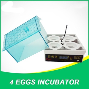 Máy ấp trứng Mini Dễ thương Máy tự động 4 Máy ấp trứng thông minh nhiệt độ không đổi ấp trứng cho gia đình - Product Image 6