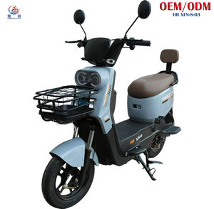 Bicicleta Eléctrica de 20 Pulgadas con Canasta, <span class=keywords><strong>500W</strong></span>, 48V12A, Batería Extraíble, Precio Directo de Fábrica, Bicicleta Eléctrica para Adultos - Product Image 1