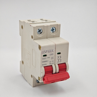 Interruptor Automático de Circuito de 2 Polos, 6A-63A, 220V CA, 50/60Hz, Tipo C, Capacidad de Ruptura de 6kA