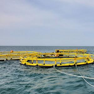 HDPE <strong>Fish</strong> Cage Aquaculture <strong>Fish</strong> Trap Cage for Tilapia Farming - Product Image 1
