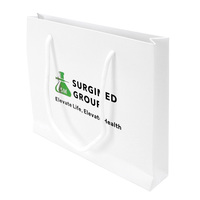 Sacs en papier de luxe pour boutiques, grands sacs en papier pour le shopping avec votre propre logo, emballage en papier, sac cadeau de haute qualité, sac à main pour l'emballage de vêtements