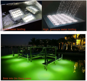 A prova di spruzzo di sale IP68 LED illuminazione verde blu luce per acquario barca luce da pesca 500W 800W 1000W 316 Anti corrosione SUS - Product Image 3
