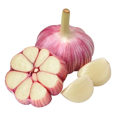 New crop garlic normal white pure white garlic wholesale price from China export 10kg bags trade Honduras Span