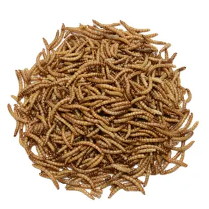 Vermi della farina secchi naturali di alta qualità Apex pollo congelato tropicale vermi della farina secchi congelati per cibo per pesci
