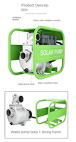 Pompe à eau solaire de surface AC/DC 110V 1500W, système de pompage d'irrigation solaire 2HP, solutions d'énergie solaire