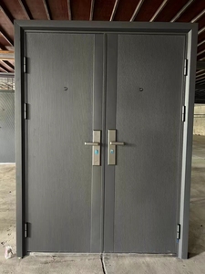 Pintu Masuk Ganda Anti Maling untuk Pabrik/Vila/Rumah Pertanian dengan Konstruksi Polimer Baja Tahan Karat - Product Image 1