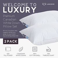 Oreiller de couchage de luxe en duvet blanc avec 625 de pouvoir de remplissage et 300 de fils 100% de coton de Nan Tong