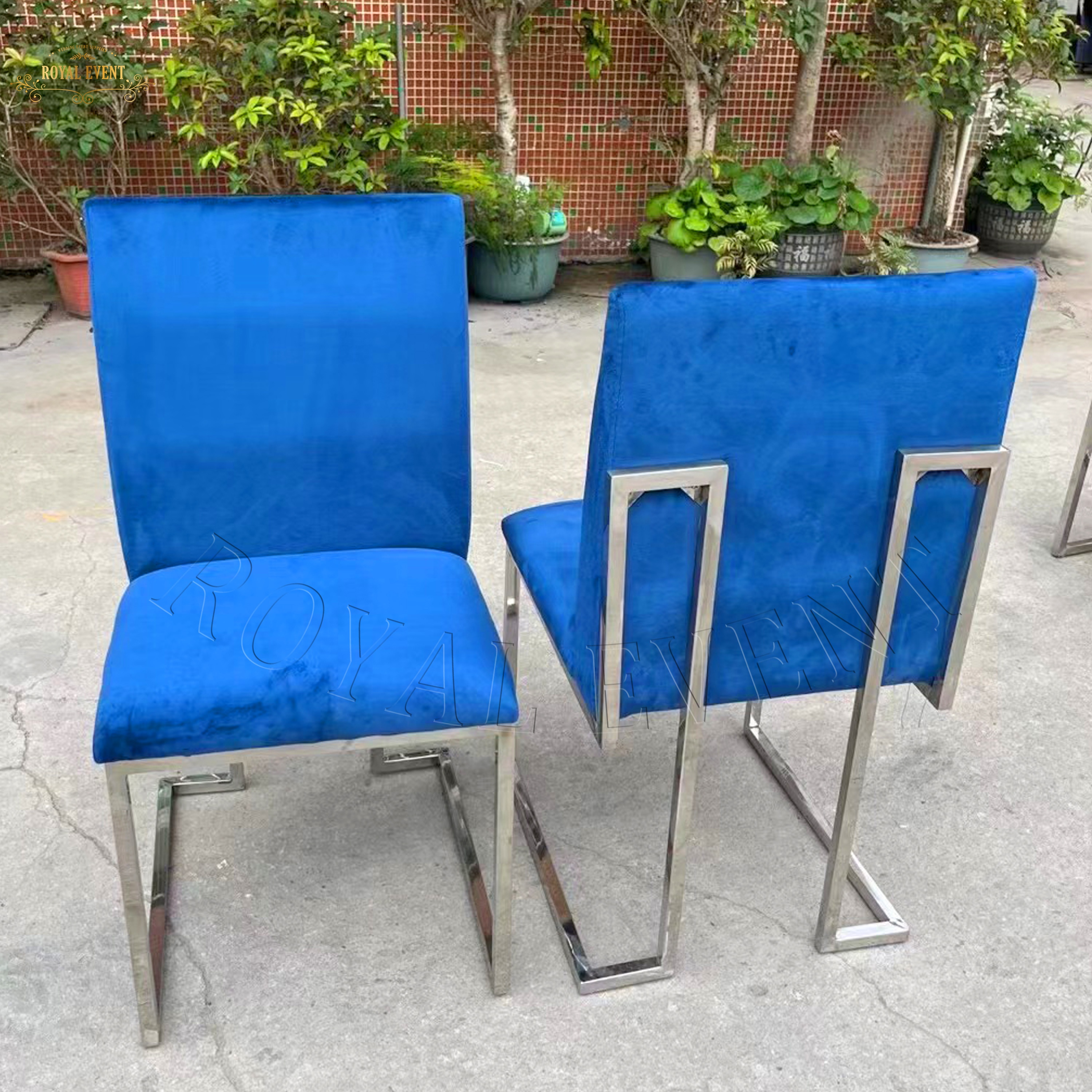 Bleu