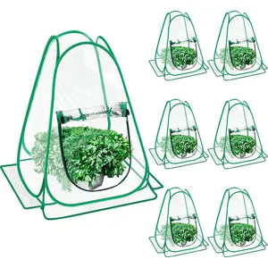 6 Pieces Mini Greenhouse Outdoor Pop up Greenhouse Cover 24 x 24 x 31 Inch Mini Gardening Sunshine Plant Flower Room