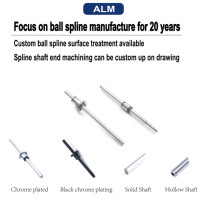 Eje estriado de alta precisión China Spline SLF016 SLF020 SLF025 SLF030 SLT016 SLT020 SLT025 SLT030 Ball Spline para robot