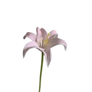 Petite <span class=keywords><strong>fleur</strong></span> artificielle <span class=keywords><strong>blanche</strong></span> d'<span class=keywords><strong>arum</strong></span> calla, idéale pour les tenues de mariage, la décoration intérieure et les produits de commerce extérieur. - Product Image 5