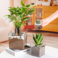 Mini vase carré transparent en plastique, centre de table, conteneur en acrylique, pot en vrac pour plantes succulentes, décoration florale pour mariage, maison, bureau