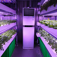 Systèmes d'agriculture verticale en conteneurs hydroponiques pour fermes intelligentes, conçus en usine, pour la culture de la laitue et des légumes à feuilles