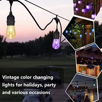 Guirlandes lumineuses d'extérieur RGBW de 48 pieds, résistantes aux intempéries, télécommande, changement de couleur, guirlandes lumineuses de café avec ampoules S14 incassables
