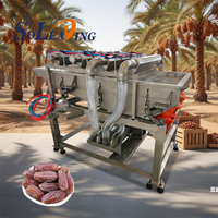 Fruitverwerkingsmachine Vibratielijn voor dadels Vibrator Dadelsreinigingsmachine