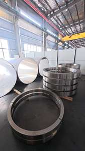 उच्च गुणवत्ता वाले पेशेवर अनुकूलन मानकीकृत स्टेनलेस स्टील फ्लैंगस - Product Image 5