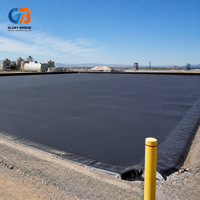 Géomembrane HDPE lisse, imperméable, écologique et durable pour bassins piscicoles, décharges, protection des pentes minières et construction