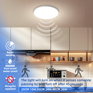 Moderne 18W Smd2835 6500K Ip66 Ac 85-265V Magnetron Pir Infrarood Bewegingssensor Led Plafondlamp Slaapkamer Acryl Hardlooppaneel - Product Image 4