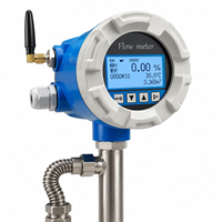 Variable Area Water Flow Meter Temperature Pressure Compensation Wafer Thread Connection Cast Iron Digital Wireless Steam Gas