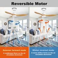 Ventilateur de plafond moderne décoratif de 48 pouces avec télécommande, moteur DC silencieux à faible bruit, vente en gros