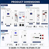 Batterie murale multi-capacités Hysonn LFP 5,12 kWh 11,77 kWh 16,07 kWh 51,2 V pour projets de sauvegarde solaire résidentielle OEM ODM