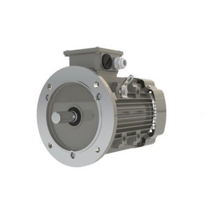 Moteurs à courant alternatif à aimants permanents, moteur à balais, cadre de 130 mm, entièrement fermé, pour équipement mécanique - Product Image 1