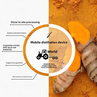 Huile Essentielle de Curcuma en Gros, Pure, Biologique, Distillée, pour Diffuseur, Aromathérapie, Soins de la Peau, Bougies, Savons, OEM Huiles Essentielles de Curcuma