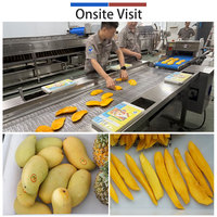 Fabrieksontwerp Fruitverwerkingslijn Motor SUS 304 RVS Hoge capaciteit 1500-8000kg/u Versgesneden fruit invoer