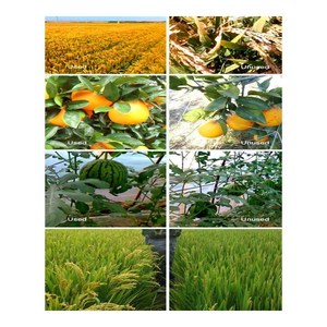 حار بيع سماد جذور الأعشاب البحرية الزراعة Biostimulant استخراج الأعشاب البحرية تقشر - Product Image 6