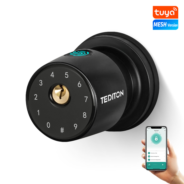 Tediton Smart Lock Door Knobs for Interior Doors Fingerprint Deadbolt Mortise Keypad Smart Door Lock With Knob