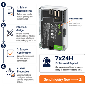 Batterie d'appareil photo en gros pour Canon, <span class=keywords><strong>Panasonic</strong></span>, Fuji, Nikon – Modèles multiples LP-E6, FW50, W126S, EN-EL14 – Li-ion rechargeable - Product Image 4
