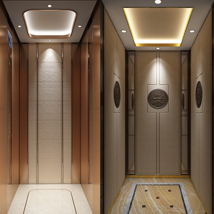 Роскошный гидравлический привод переменного тока, домашний лифт, безопасный для виллы, жилой безредукторный Тяговый станок, ПВХ для отелей и квартир - Product Image 4