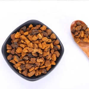 Champignon chaga séché Hua <span class=keywords><strong>Shu</strong></span> <span class=keywords><strong>Rong</strong></span> et poudre de chaga - Product Image 4