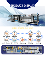 Ligne de Découpe de Poulets Automatique Compacte et Mobile en Acier Inoxydable CE ISO 300-1000 pour 300-1000 Poulets, Installation Facile