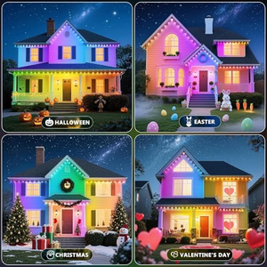 Lumières de Noël extérieures permanentes IPX, LED, étanches et durables, idéales pour la décoration des avant-toits et des maisons - Product Image 5
