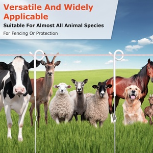 Lydite đôi đầu thép cách điện Pigtail với thép mạ kẽm Pigtail hàng rào bài viết điện hàng rào bài viết - Product Image 6