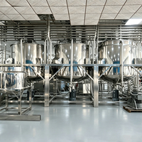 Linea di Produzione su Larga Scala ad Alta Resa per Maionese e Detergenti Liquidi, Miscelatori e Serbatoi Personalizzati
