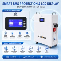 Batterie domestique Hysonn 11,77 kWh 51,2 V 230 Ah murale LFP pour villas solaires, revendeurs et acheteurs de projets OEM