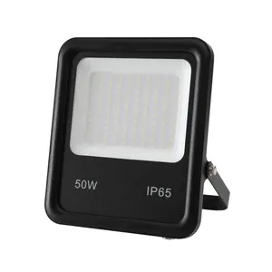 Luce di inondazione a Led per esterno luce rossa verde blu lampeggiante per bici 30w 50w 100w piccolo vialetto esterno di illuminazione