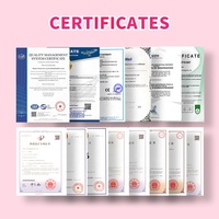 Vente en gros : Capsules d'acide borique vaginales les plus vendues – Solution intime pour la santé féminine – Comprimés en poudre d'acide borique