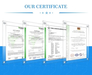 Certification HALAL Poudre de vinaigre de cidre de pomme de qualité alimentaire Poudre de fruit de pomme biologique crue Aliments naturels biologiques - Product Image 4
