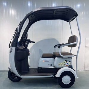 Sécurité de haute qualité et populaire trois roues <span class=keywords><strong>vélo</strong></span> électrique 2 <span class=keywords><strong>places</strong></span> <span class=keywords><strong>vélo</strong></span> électrique Tricycle électrique passager - Product Image 3