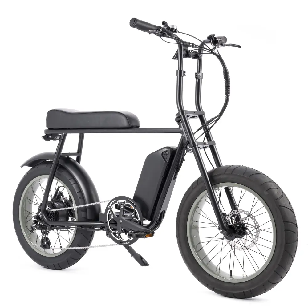 OEM ODM fabrika MARIO 750W Retro yağ lastik süspansiyon elektrikli bisiklet