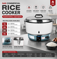 Autocuiseur de riz professionnel multifonction automatique grande capacité au gaz style rétro 10L - Meilleure vente
