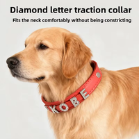 Collier personnalisé de luxe pour chiot avec strass, collier en cuir personnalisé pour petits chiens, breloques avec nom, accessoires pour animaux de compagnie