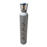 Cilindro de CO2 de 0.6m3, CE TPED ISO9809, Botella de Gas de Dióxido de Carbono de Acero sin Costuras, Recipiente a Presión, Fácil de Operar