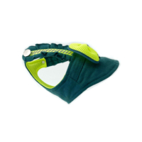 Vente en gros d'articles de luxe de créateurs pour animaux de compagnie gilet à nœud fluorescent ensemble de vêtements pour animaux de compagnie été avec laisses