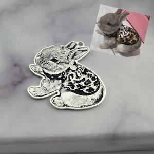 レーザー刻印925ソリッドシルバーペットポートレートネックレスパーソナライズされたカスタムメモリ写真写真ペンダント刻印ジュエリー - Product Image 6