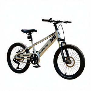 Vélo de montagne pour enfants modèle Thor 18, 20 et 22 pouces, simple vitesse, fourche à suspension, capacité de charge 200 kg, carbone - Product Image 2