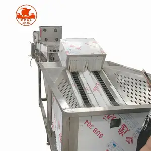 Máquina comercial de processamento e lavagem de ovos de galinha, pato e ganso, máquina classificadora de ovos de galinha em aço inoxidável